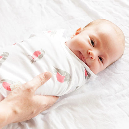 Bebitza BeSwaddle - Feather /  Bendongan Instan Import Bebitza