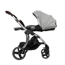 Hybrid Curve Parisian Signature Chrome